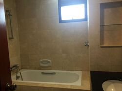 Seletaris (D27), Condominium #566579871